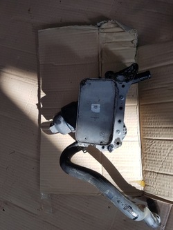 Радіатор радіаторів масла 1.6 dci talisman фото №1