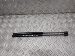 Телескопи кришки зад renault megane ii фото №1