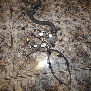 Жгут дверь передних правых zoe 805021984r фото №1