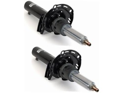 Амортизаторы перед arnott mr-3852 фото №1