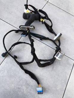 Ds 7 citroen 2019 ds7 джгут установка двері ліва передня 9826015180 e фото №1