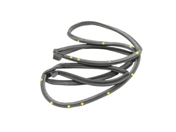 Leganza прокладка двері рамки перед праві daewoo leganza 1998-2002 96205253 фото №1