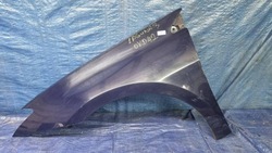 Крило лівий перед renault laguna iii 3 ovd42 фото №1