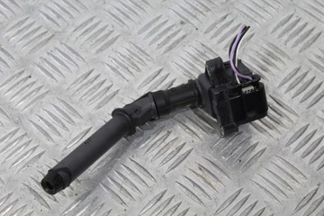 Котушка запалювання captur i рестайлінг 224332935r фото №1