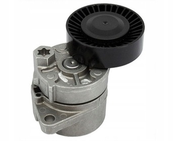 Schaeffler ina 534 0018 10 натяжитель ремень клиновой многоручьевая фото №1