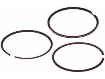 Кільця поршневі citroen xsara 1.9 berlingo 1.9 jumpy i 1.9 c15 1.9 фото №1