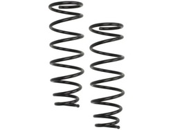 Пружины зад lesjofors 4255448 фото №1