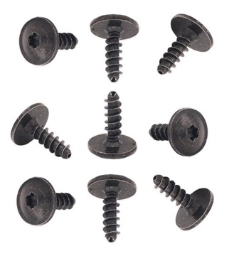 10x винт винт 5x16x15 защитные накладки плита torx tx25 фото №1