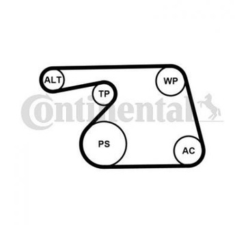 Contitech набір ремінь micro-v 6pk1318wp1 фото №1