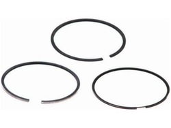 Кольца поршневые fiat bravo i 1.9 ii 1.9 brava 1.9 sedici 1.9 фото №1