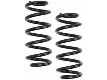 Пружины зад lesjofors 4204271 фото №1