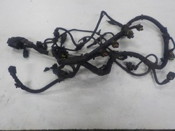 Corsa d 1.3 cdti z13dtj джгут двигуна 552074140 фото №1