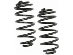 Пружини зад febi bilstein 181330 фото №1