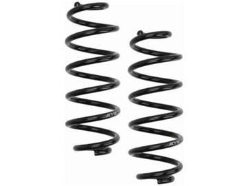 Пружини зад kyb ra6106 фото №1