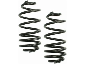 Пружини зад lesjofors 4263510 фото №1