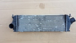 Renault радіаторів інтеркулер 8200411160c фото №1