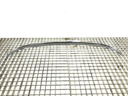 Планка бампера перед хром peugeot 407 04-11 9648195777 фото №1