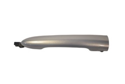 Ручка передня задня scenic ii 8200028782 фото №1