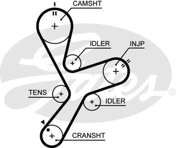 Лента распределительный вал gates 5641xs 1145a019 фото №1
