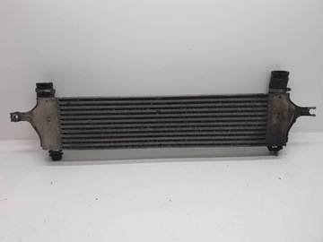 Интеркулер 14461-jd50a qashqai j10 1.5 dci 2007 фото №1