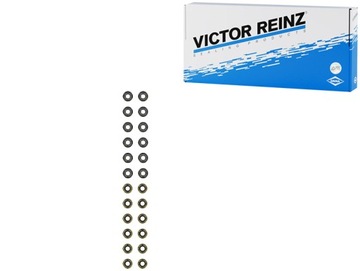 Victor reinz 12-52806-04 набор уплотнителей, trzonek клапана фото №1