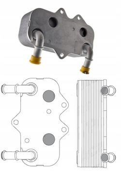 Радіаторів масла astra g 98- 5508l8-3 фото №1