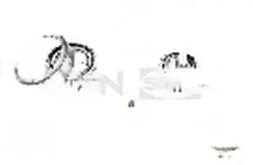 Подшипник колёса зад r140.96 snr citroen fiat ducato фото №1