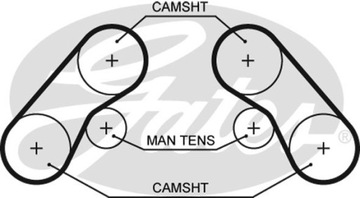 Gates 5576xs лента распределительный вал фото №1