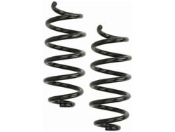 Пружини зад kyb ra7149 фото №1