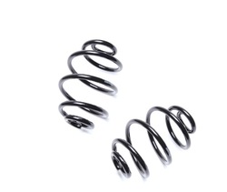 2x пружини зад do daewoo lanos 1997-2003 ## фото №1