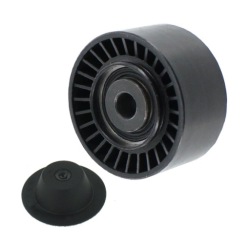 Skf ролик ремінь wielorowk. renault 2,0dci 05- фото №1