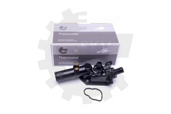 Esen skv термостат kpl. з корпус фото №1