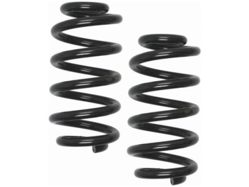 Пружины зад lesjofors 4204251 фото №1