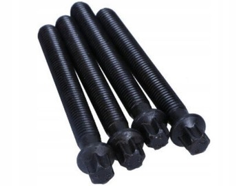 Набор винт, колесо ременное - wał коленчатый corteco 800 фото №1