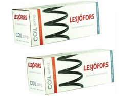 Пружины зад lesjofors 4263492 фото №1