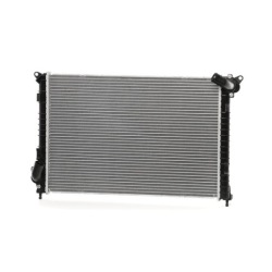 Ridex 470r0358 радиатор, система охлаждение двигателя фото №1