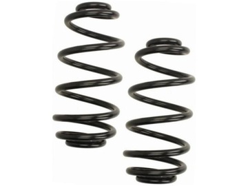 Пружини зад lesjofors 4263500 фото №1