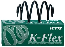 Kayaba kyb пружина zaw.q5 09- ra3300 фото №1