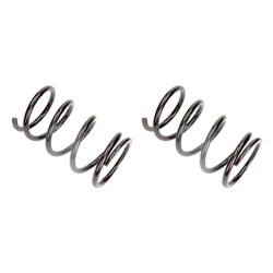 Пружини підвішування зад do toyota rav 4 ii 2000-2005 фото №1