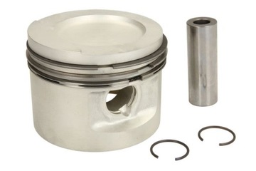 Поршни mahle 034 75 02 фото №1