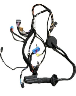 Джгут двері перед лівий skoda octavia iii 5e1971120h фото №1