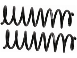 Пружини перед sachs 991 205 фото №1