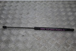 Амортизатор телескоп кришки fiesta mk7 рестайлінг 2016 фото №1