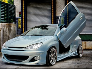 Peugeot 206 пороги reactor dj-тюнінг фото №1