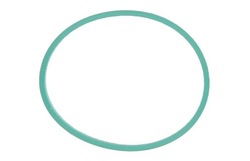 Уплотнитель коллектора впускного victor reinz 40-77586-00 фото №1