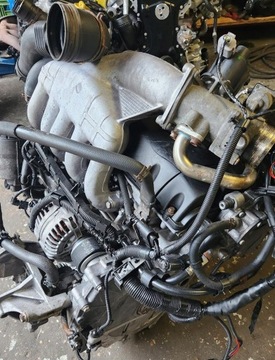 Двигатель vw t5 caravelle 2.5 tdi axd 06r фото №1