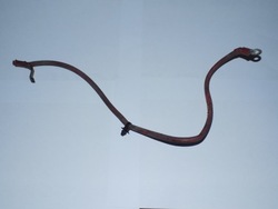 Renault megane scenic iii 3 шланг клеми plus плюсовий акумулятора джгут фото №1