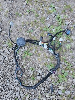 Жгут дверь левый перед qashqai j10 24124jd11a eu фото №1