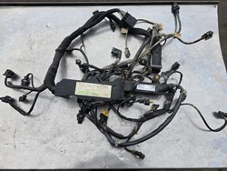 Джгут двигуна установка a2700103902 270910 1,6 cgi a2701501533 фото №1