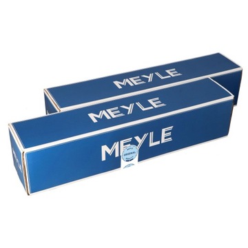 Амортизатори зад x2 ford mondeo iii 00- фото №1